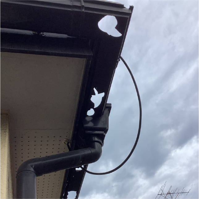 ひょう（雹）で穴が開いた状態